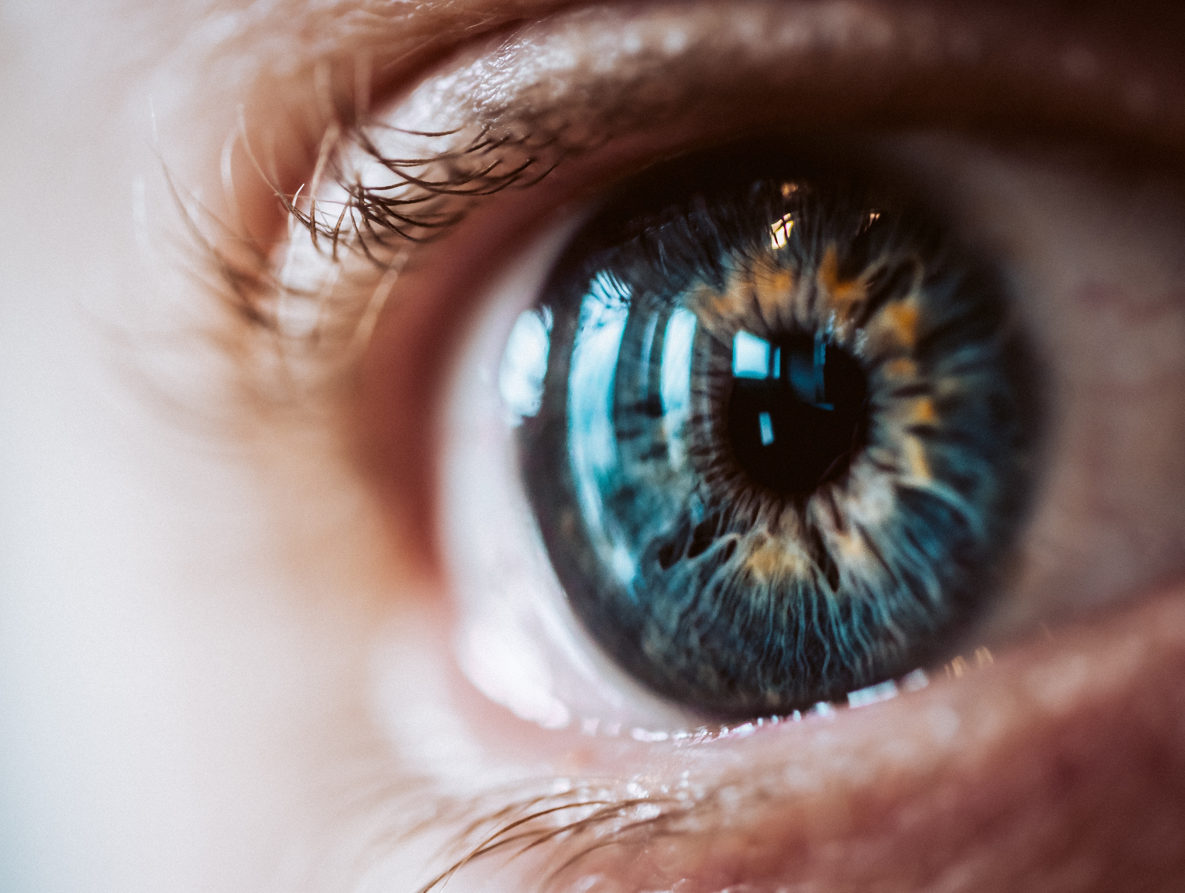 Vision